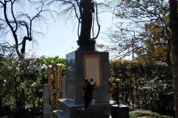Buddhist statuary obscured by shadows