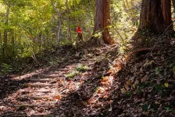 Sunlit stairway guiding travelers along the path with wooden jizo statue watching silently