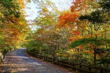 Picturesque path home as a reward for weary travelers