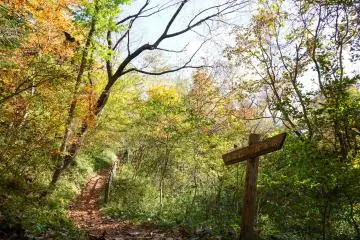 Just follow the sign for more gorgeous sights