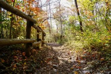 A quaint fence is the only hint of humanity out here in nature