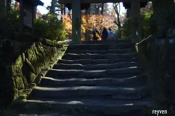 A play of light and shadows.