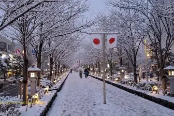 Kamakura Camera - Snow at Tsurugaoka Hachimangu Shrine