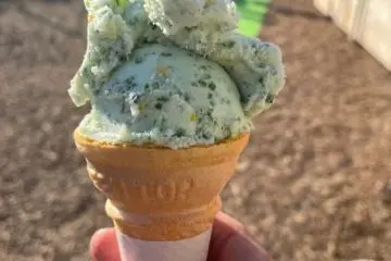 Visitors can try nanohana gelato at the event