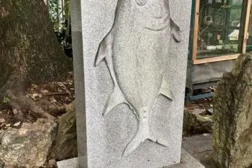 Memorial to all those katsuo made into tataki
