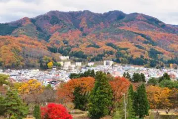 Aizu-Wakamatsu from castle tower