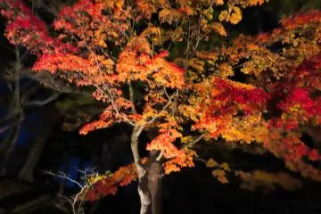 Castle night time colors