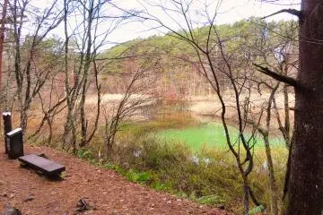 Akanuma