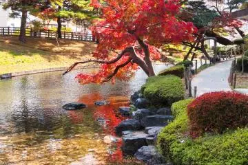  Hayama Park Pond