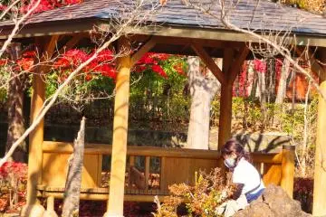 Miwa at 21st Century Park, checking map for walk back to station