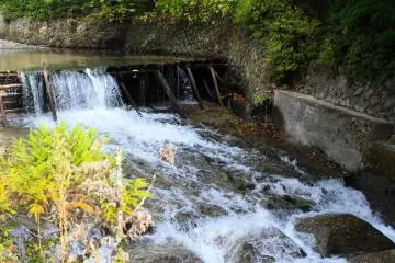 Take a stroll around Sekizenkan's garden and you will find many natural delights