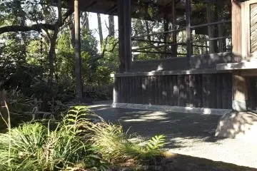 The garden and studio