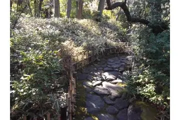 Follow the dragon skin road!