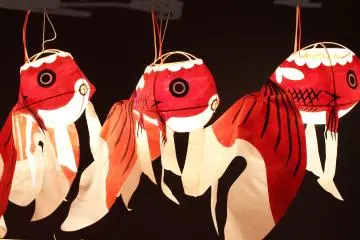 A goldfish souvenir