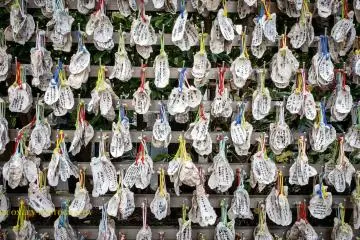 Prayers written on oyster shells.
