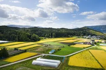 A bird's-eye view of Tono, Iwate Prefecture (Photo: Countryside Stays Japan)