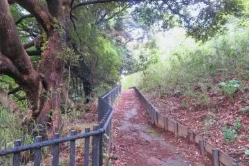 Many easy trails, April 28th