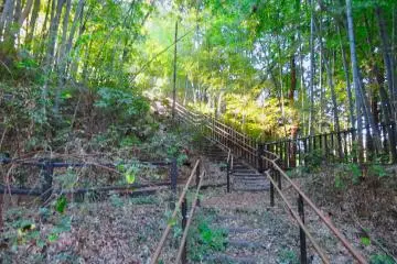 Pathway to original Factory, November 7th