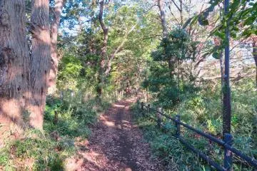 Bird watching trail, November 7th