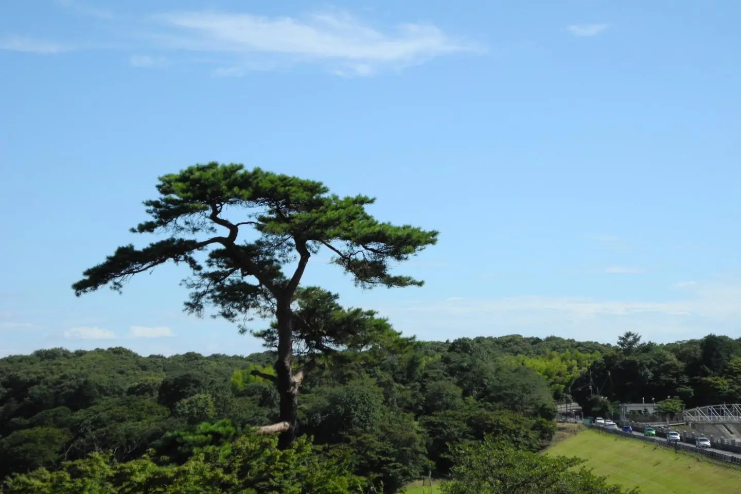 Higashiyamato City - History & Landmarks