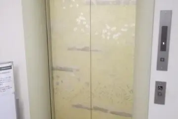 Decoration on the elevator doors