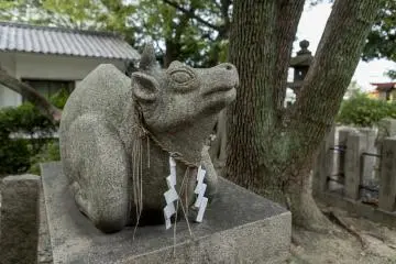 If you touch the bulls head and then your own you are said to gain wisdom