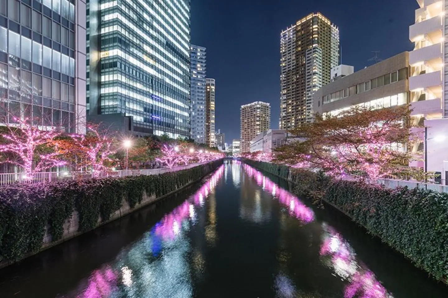 照片由: Shinagawa Tourism Association