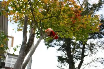 Relax on the blue seats held at the upper deck of Kawara no Yu. See if you can spot this toy!