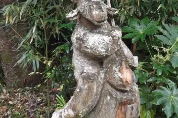 I'm not sure what this one is