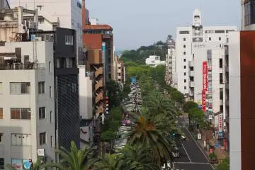 View of the market under the palms