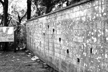 A wall for birdwatchers