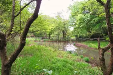 Kappan Pond, April 17th