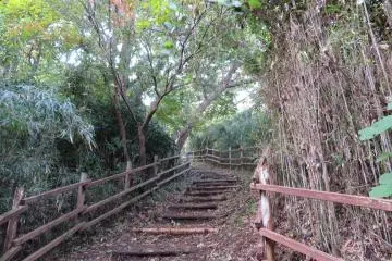 Lots of stairways leading to trails, November 4th