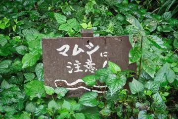 Snake warning sign