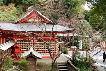 A view of the shrine complex