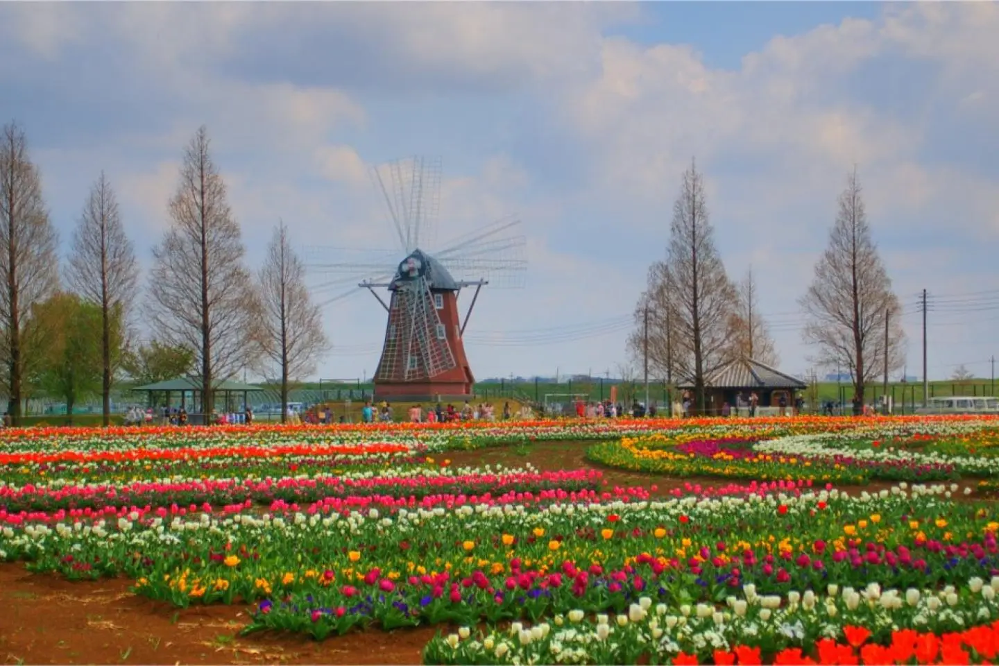 Like a little slice of the Netherlands! (Photo: bu2ngpac1 / CC BY-NC-ND 2.0)