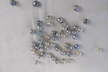 A selection of Pearl Miki's loose pearls. Visitors are welcome to select from these and other pearls of varying quality.