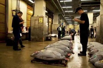 ทุกคนต่างจดกันหมด เป็นช่วงที่สำคัญมาก เพราะต้องการซื้อทูน่าคุณภาพสูงเท่านั้น