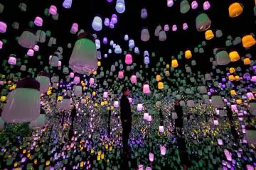 Forest of Resonating Lamps - Spring Mountain Fields