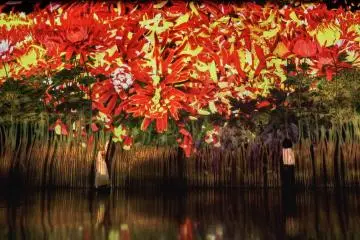 Proliferating Immense Life - A Whole Per Year