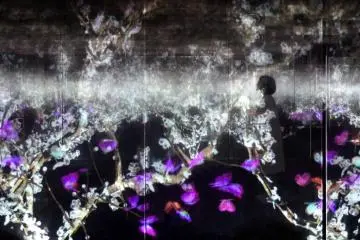 Flowers in Layer Ultrasubjective Space