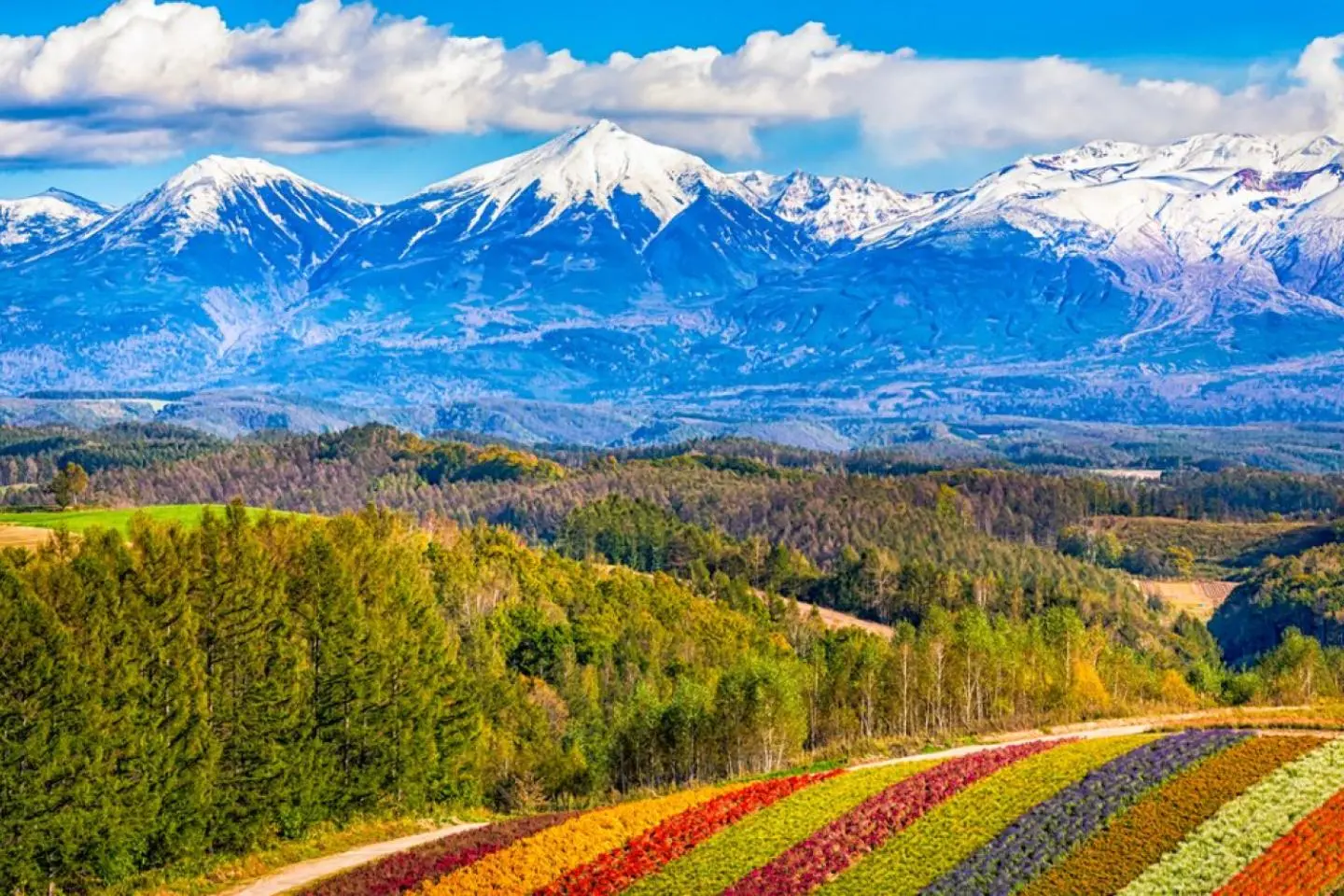 Photo: CGN089 / Shutterstock.com