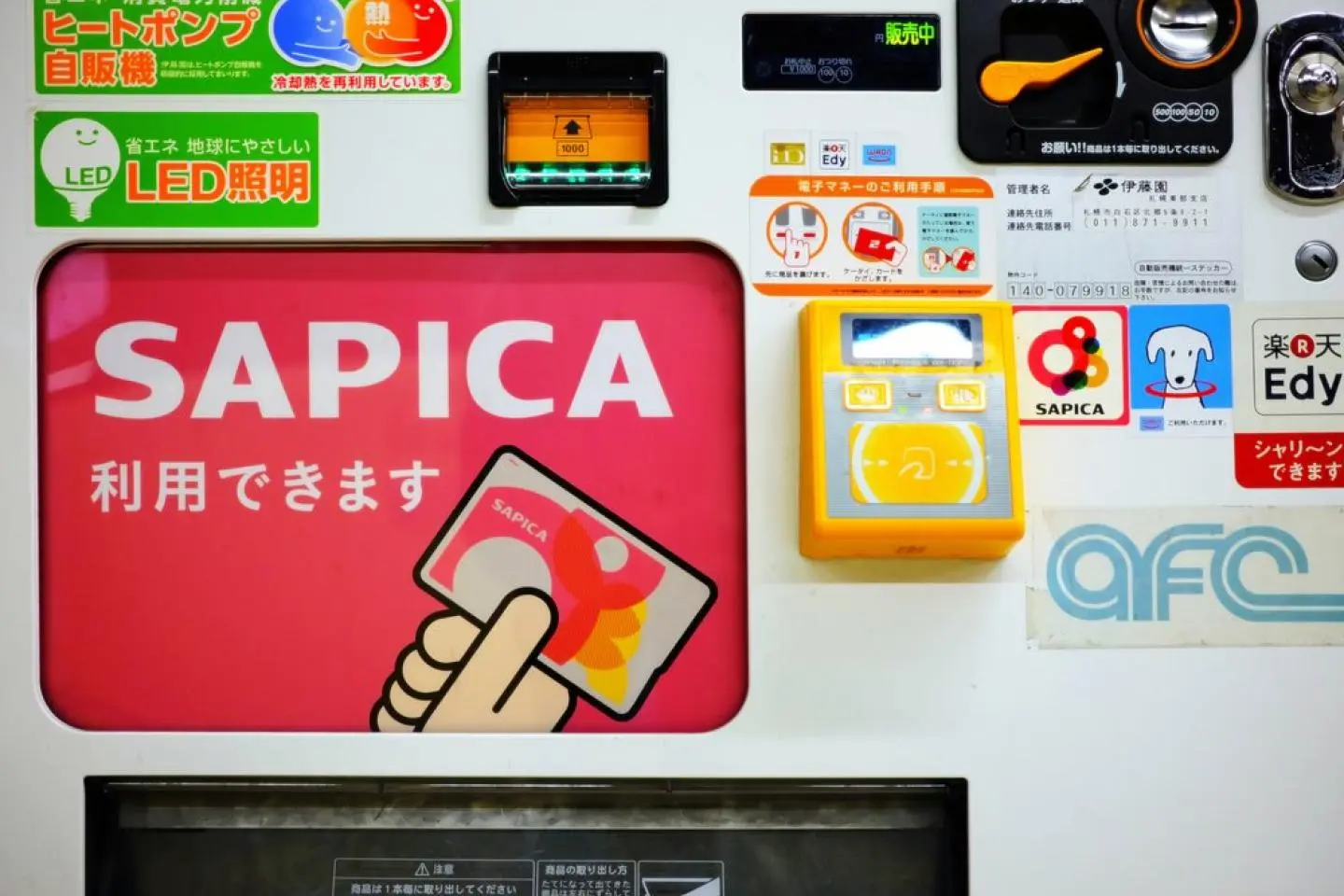 Photo: MeSamong / Shutterstock.com