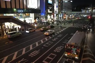 Night Walk at Ueno 
