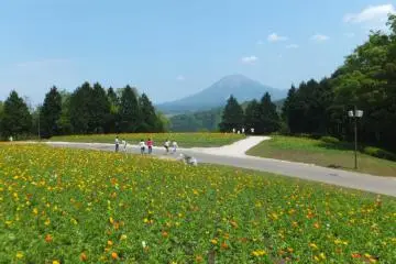 3 Spots for Spring Blooms in Tottori