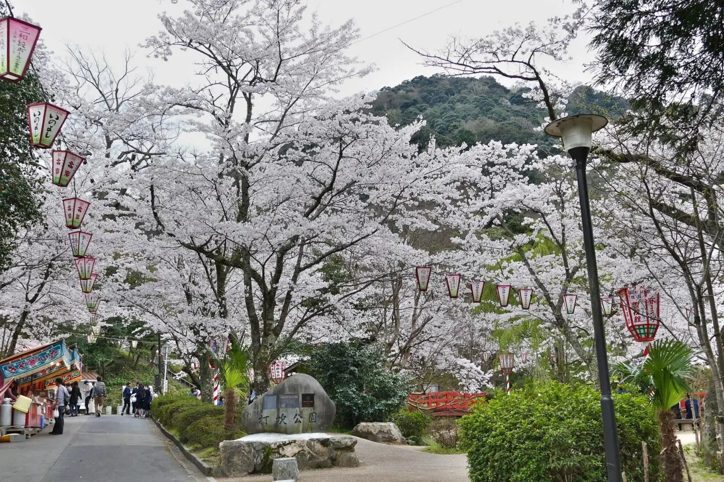 It's clear why Utsubuki Park was chosen as one of the country's top sakura spots (Photo: アラツク / CC BY-SA 4.0)