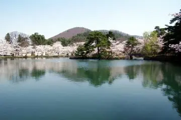 A view out over the water at Mato Park