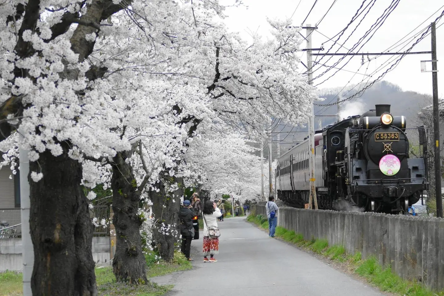 Photo: アラツク / CC BY-SA 4.0