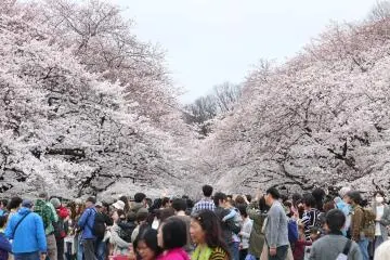 Ueno Park