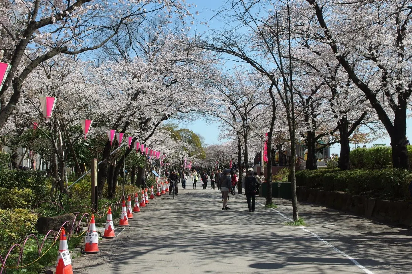 Sumida Park (Photo: Guilhem Vellut / CC BY 2.0)